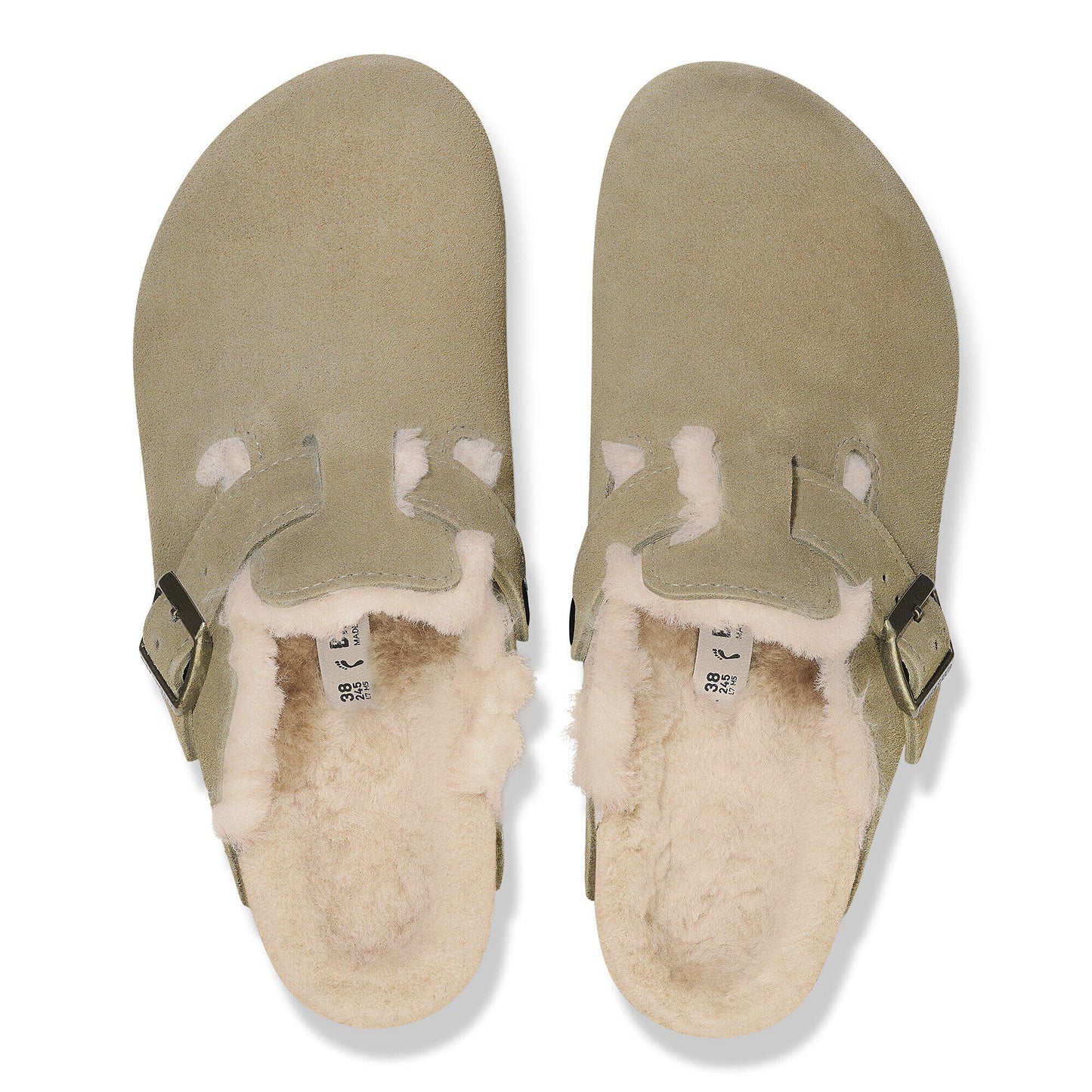 Boston Shearling - Image 5