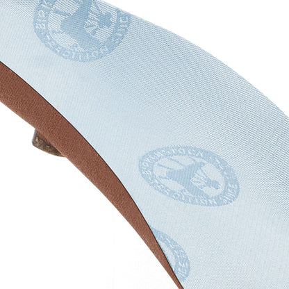 250 Anniversary Edition Blue Footbed - Image 7